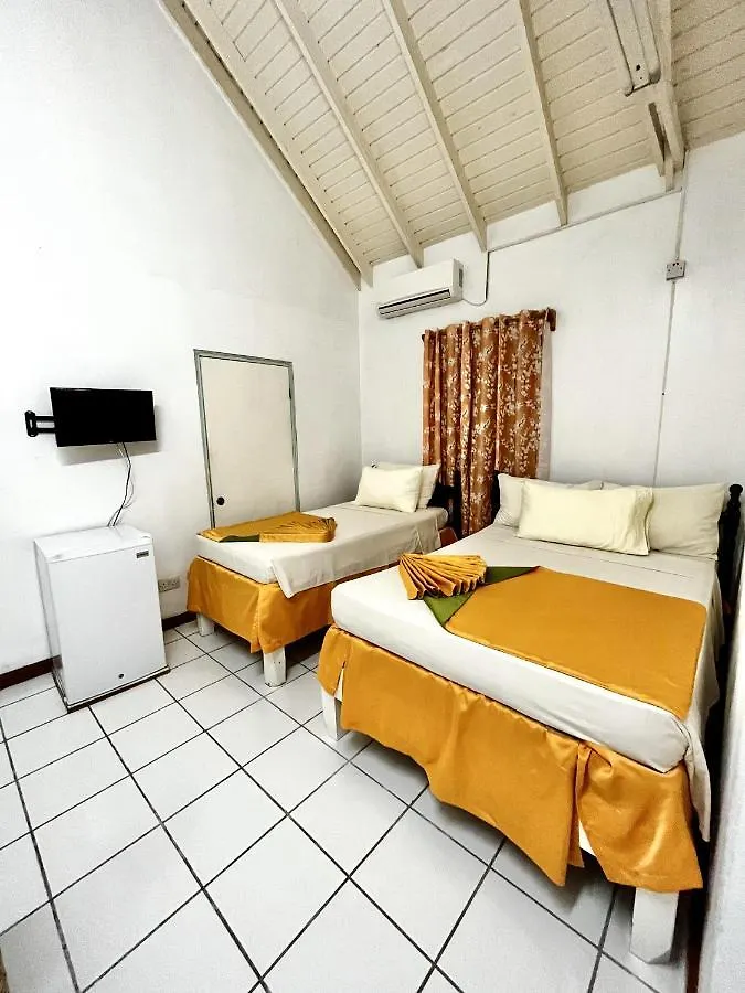 E.W.B. Properties Basseterre