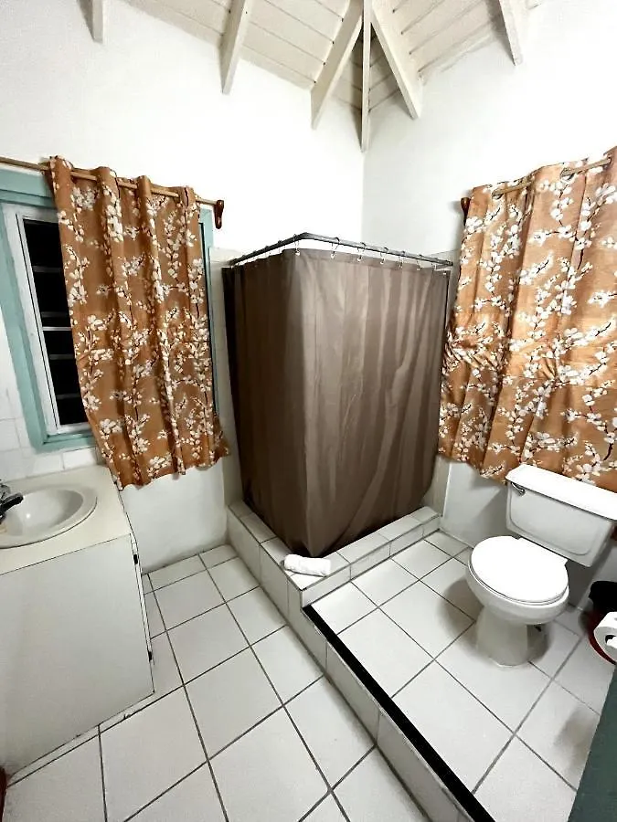 E.W.B. Properties Basseterre